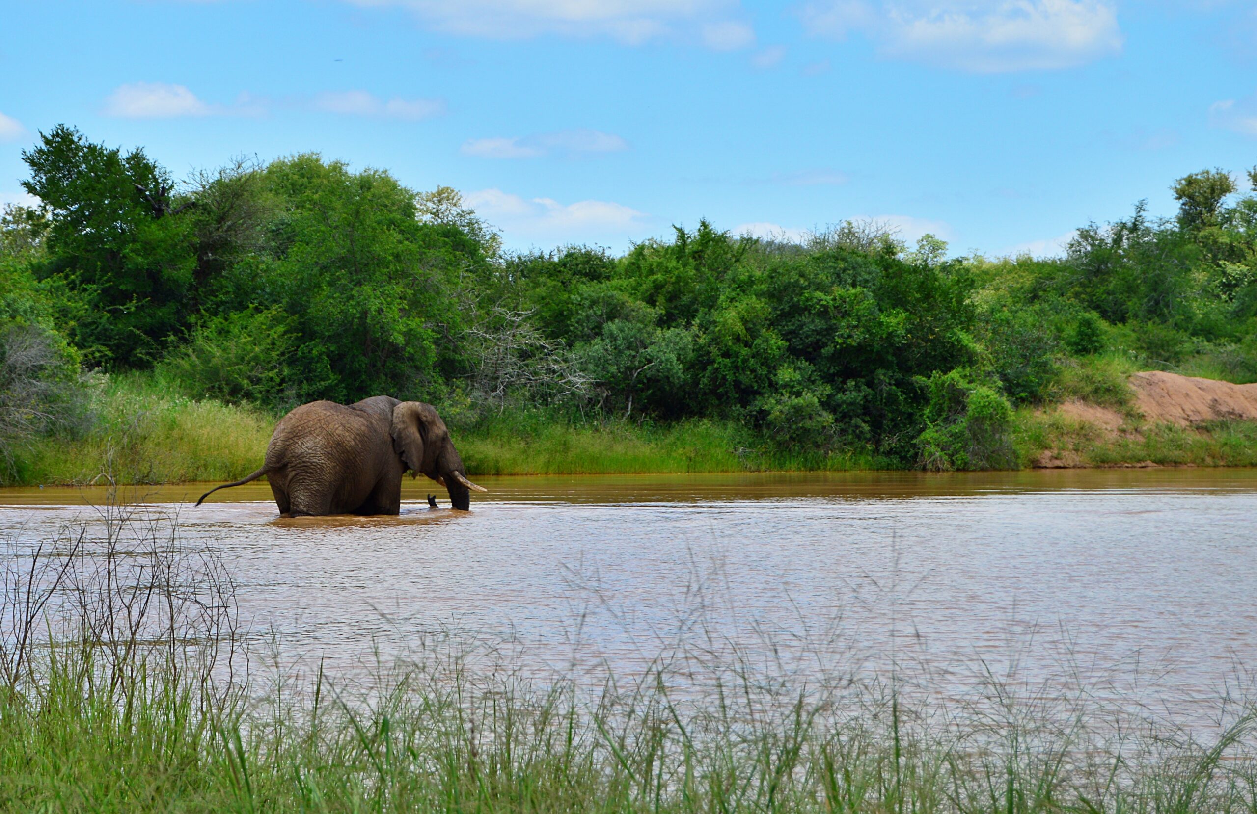 #panafricanlodgeandsafaris